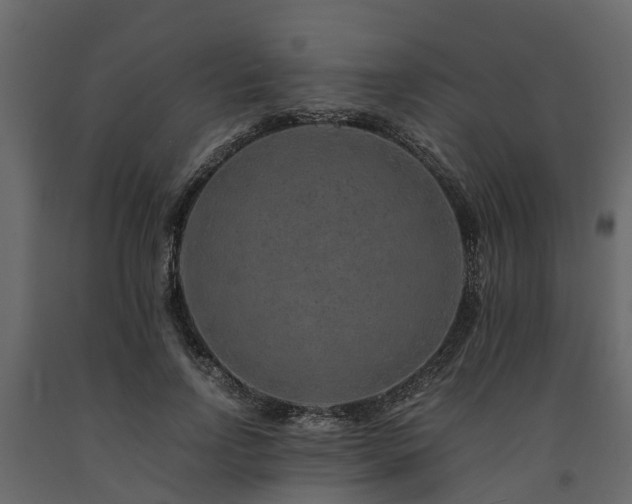 X0000091650742200708231221