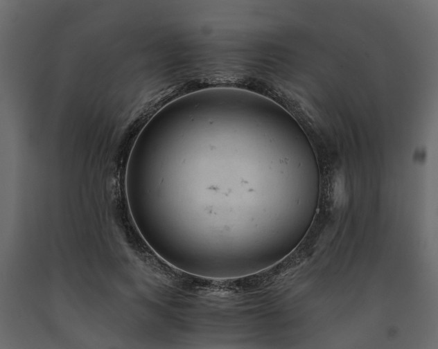X0000091650743200708231221