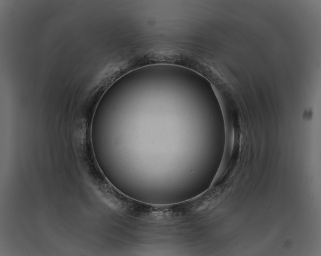 X0000091650744200708231221