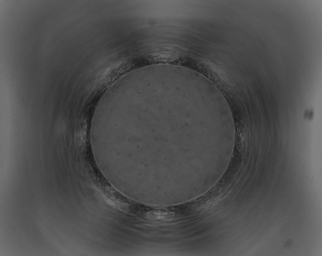 X0000091650745200708231221