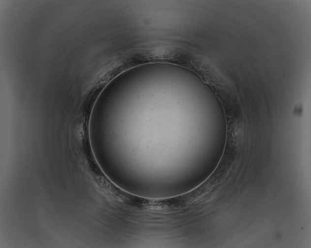 X0000091650746200708231221