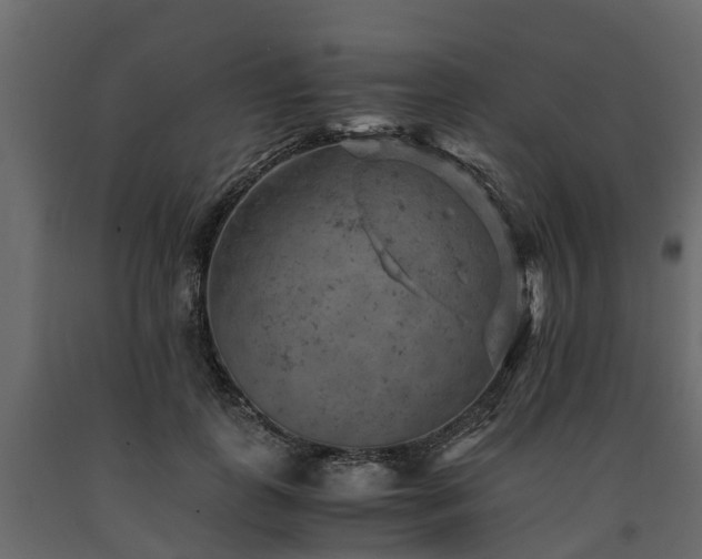 X0000091650747200708231221