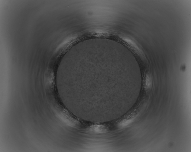 X0000091650748200708231221