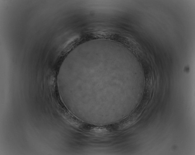 X0000091650749200708231221