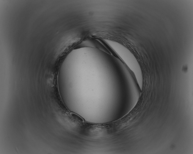 X0000091650750200708231221
