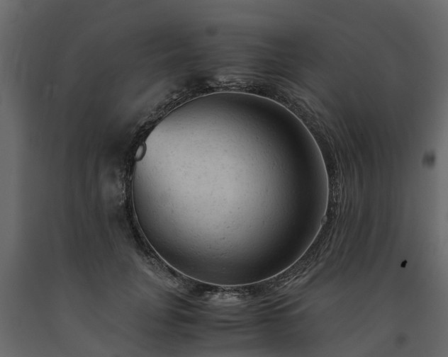 X0000091650751200708231221
