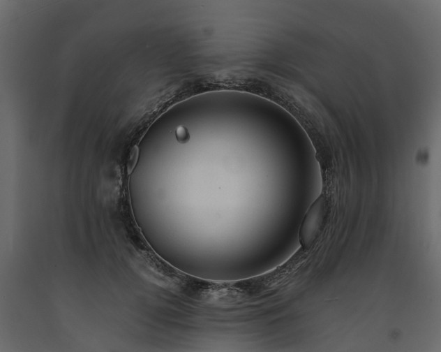 X0000091650752200708231221