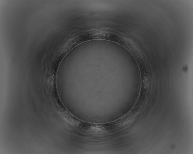 X0000091650753200708231221