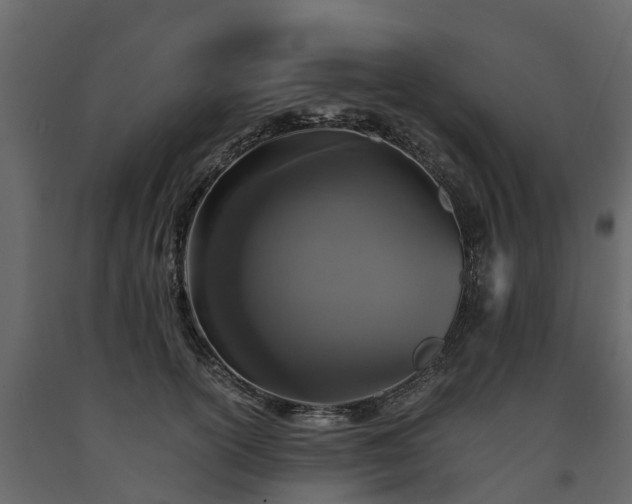 X0000091650754200708231221
