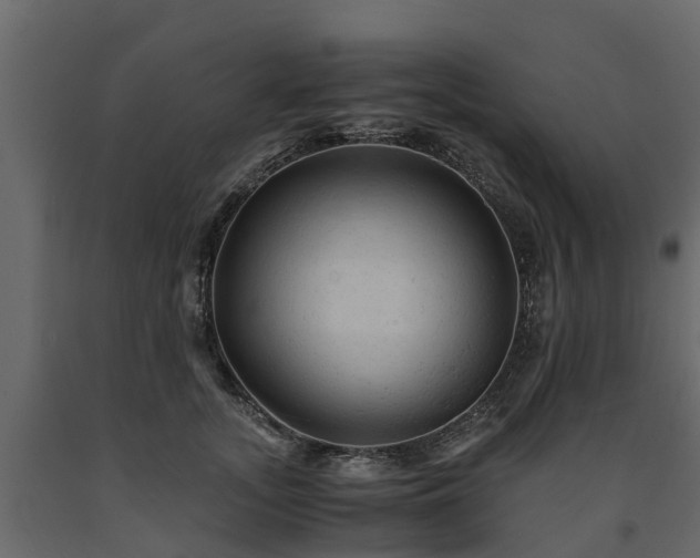 X0000091650755200708231221