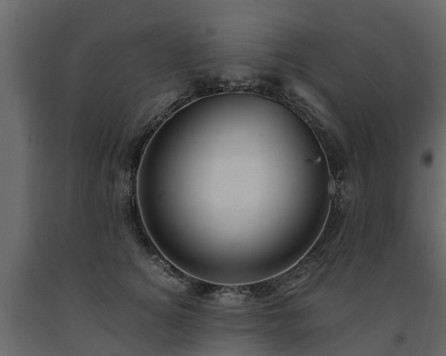 X0000091650756200708231221