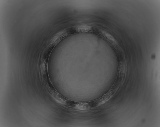 X0000091650761200708231221