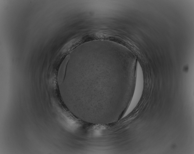 X0000091650762200708231221
