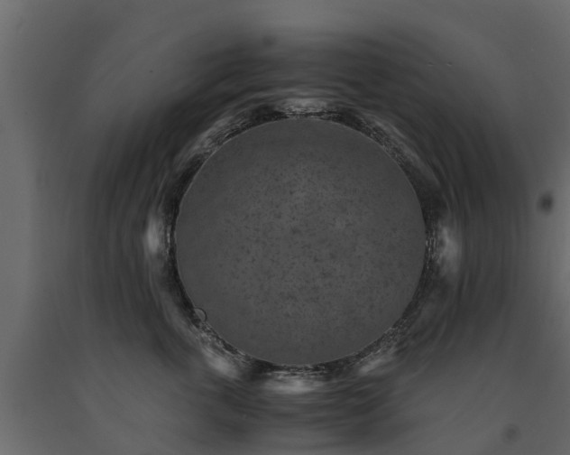 X0000091650763200708231221