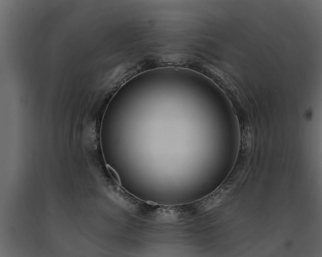 X0000091650764200708231221