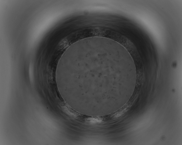 X0000091650765200708231221