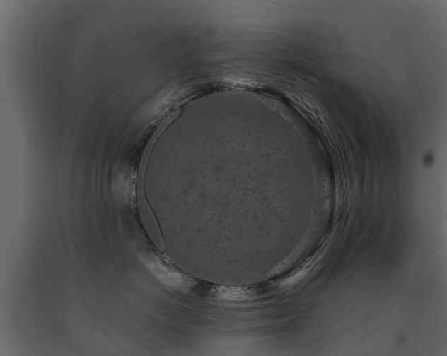 X0000091650766200708231221