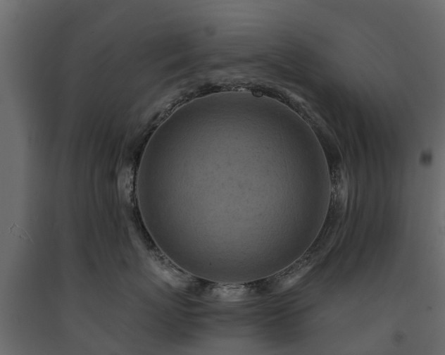 X0000091650767200708231221