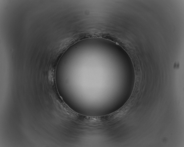 X0000091650768200708231221