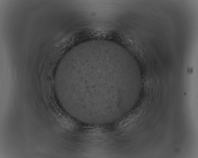 X0000091650769200708231220