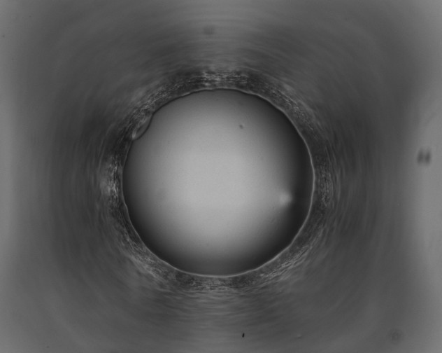 X0000091650770200708231220