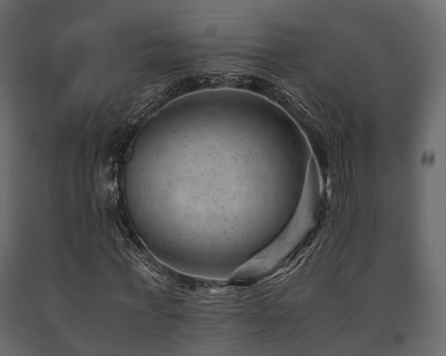 X0000091650771200708231220