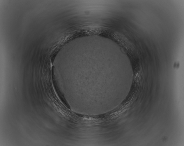 X0000091650772200708231220