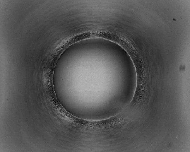 X0000091650773200708231220