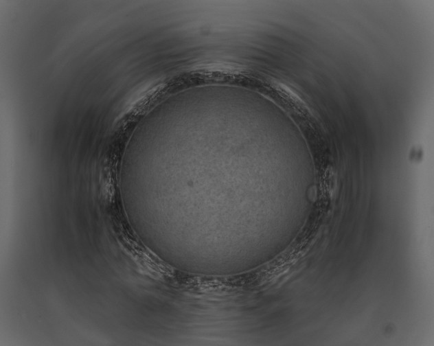 X0000091650774200708231220