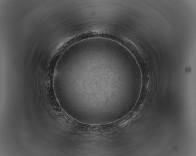 X0000091650776200708231220
