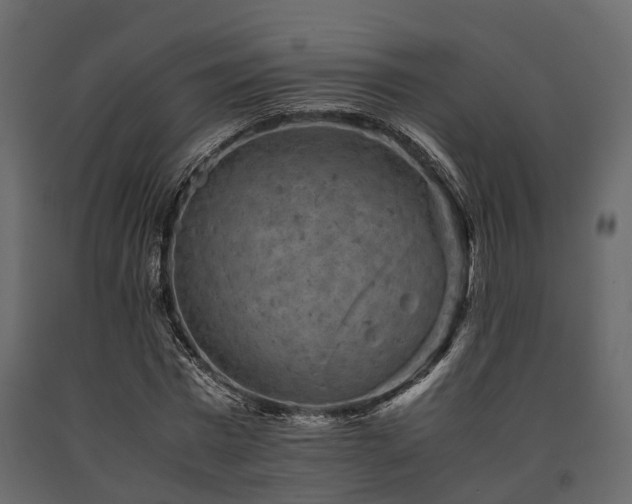 X0000091650777200708231220