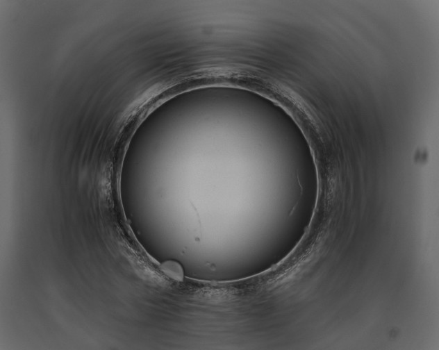 X0000091650778200708231220