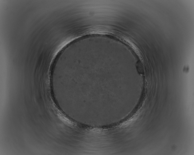 X0000091650779200708231220