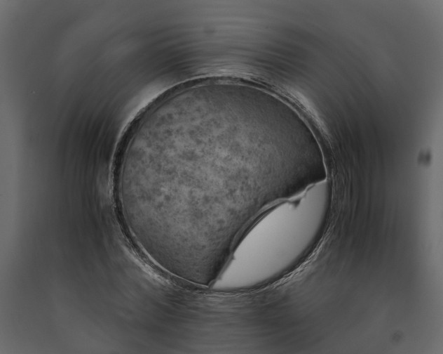 X0000091650780200708231220