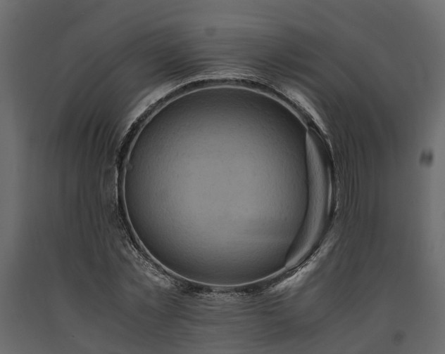 X0000091650781200708231220