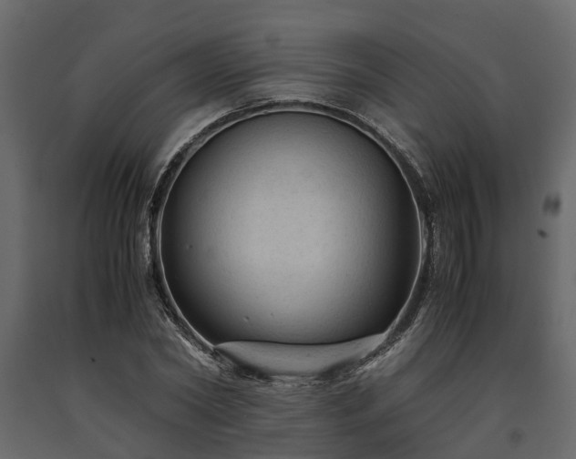 X0000091650782200708231220