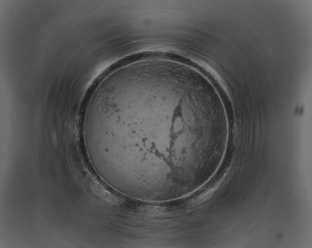 X0000091650783200708231220