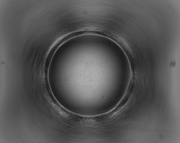 X0000091650784200708231220