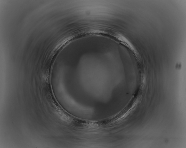 X0000091650785200708231220