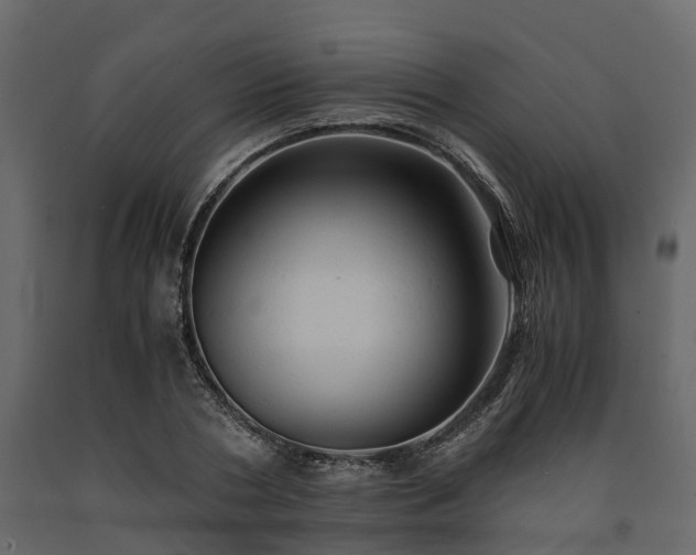X0000091650786200708231220