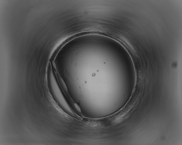 X0000091650788200708231220