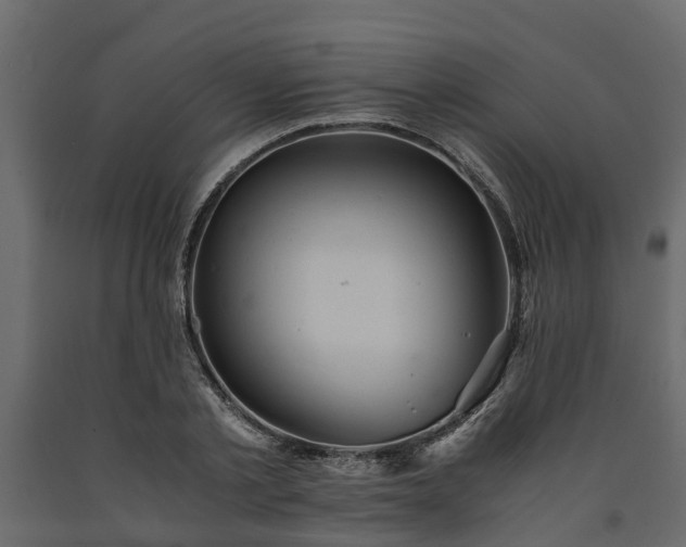 X0000091650789200708231220