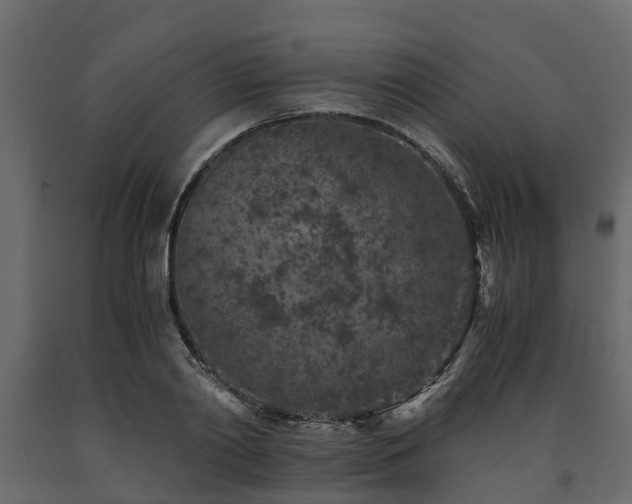 X0000091650790200708231220