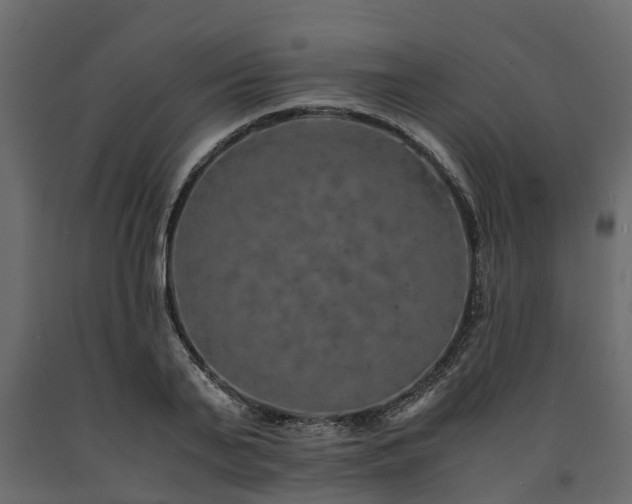 X0000091650791200708231220