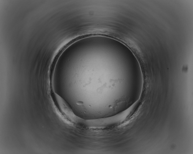 X0000091650792200708231220