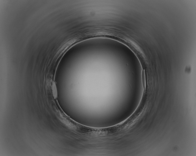 X0000091650793200708231220