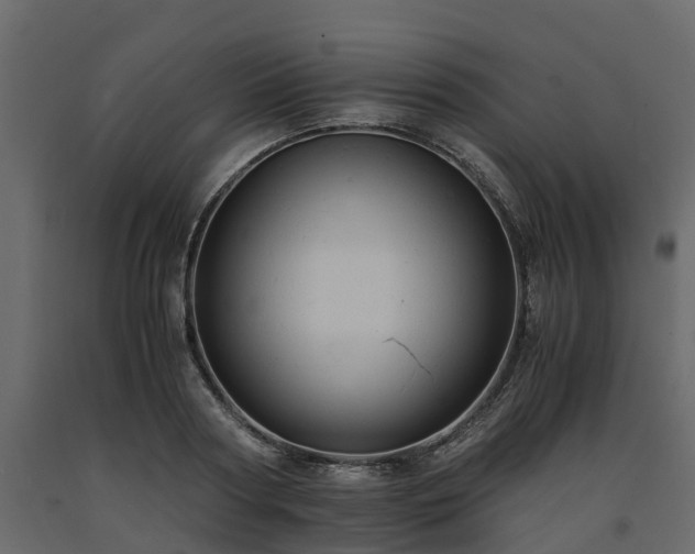 X0000091650794200708231220