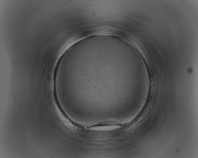 X0000091650795200708231220