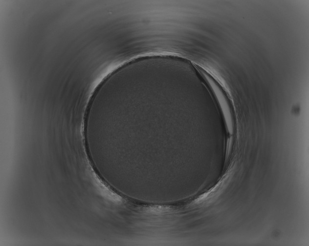 X0000091650797200708231220