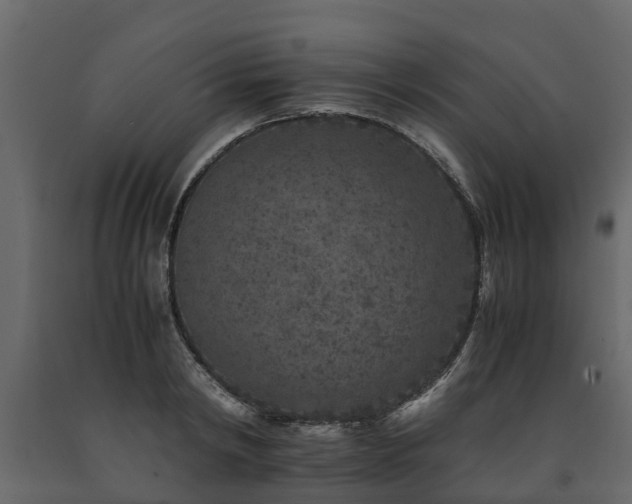 X0000091650798200708231220